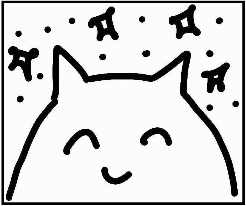 Triet's Cat