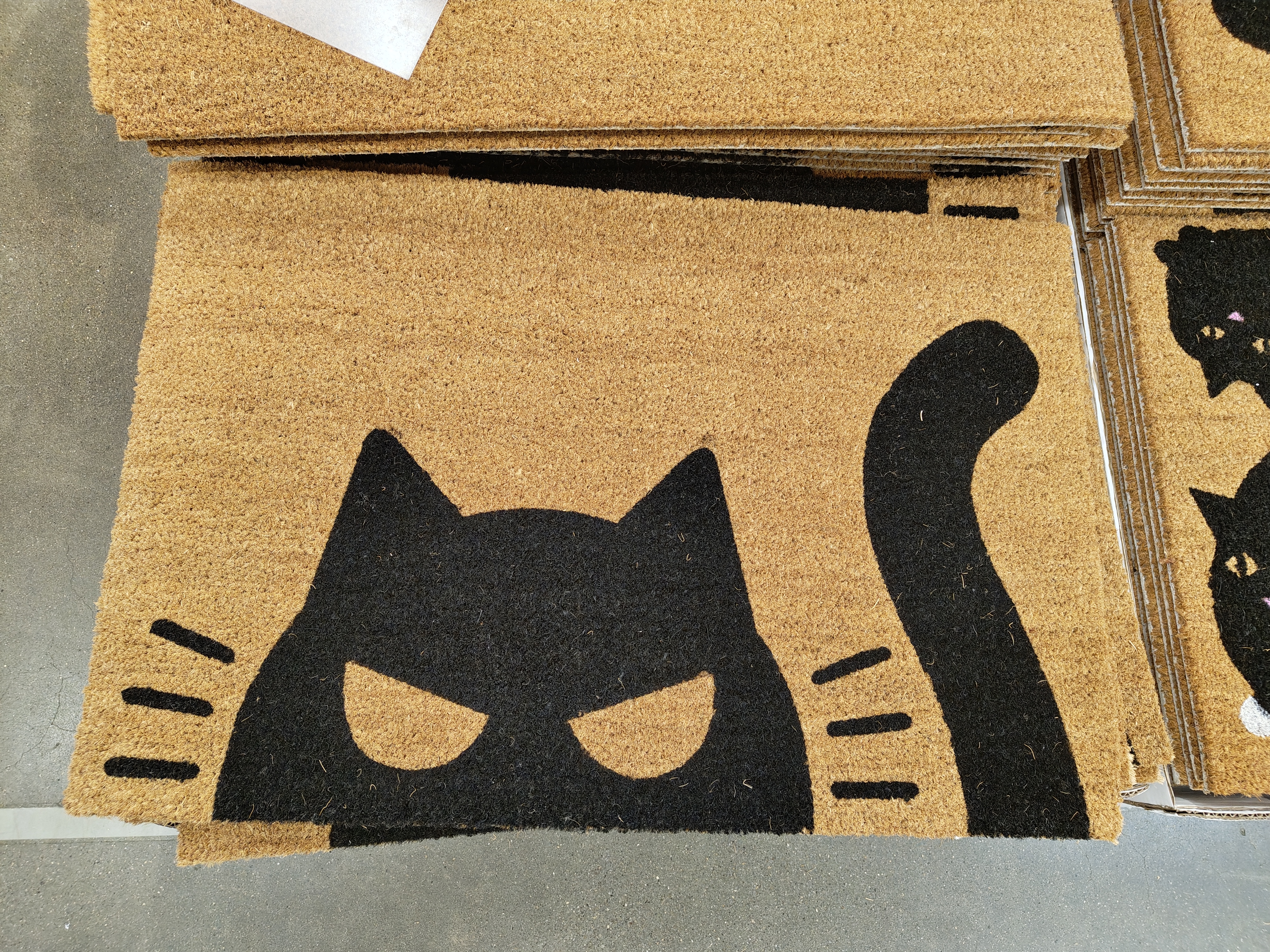 Triet's Cat