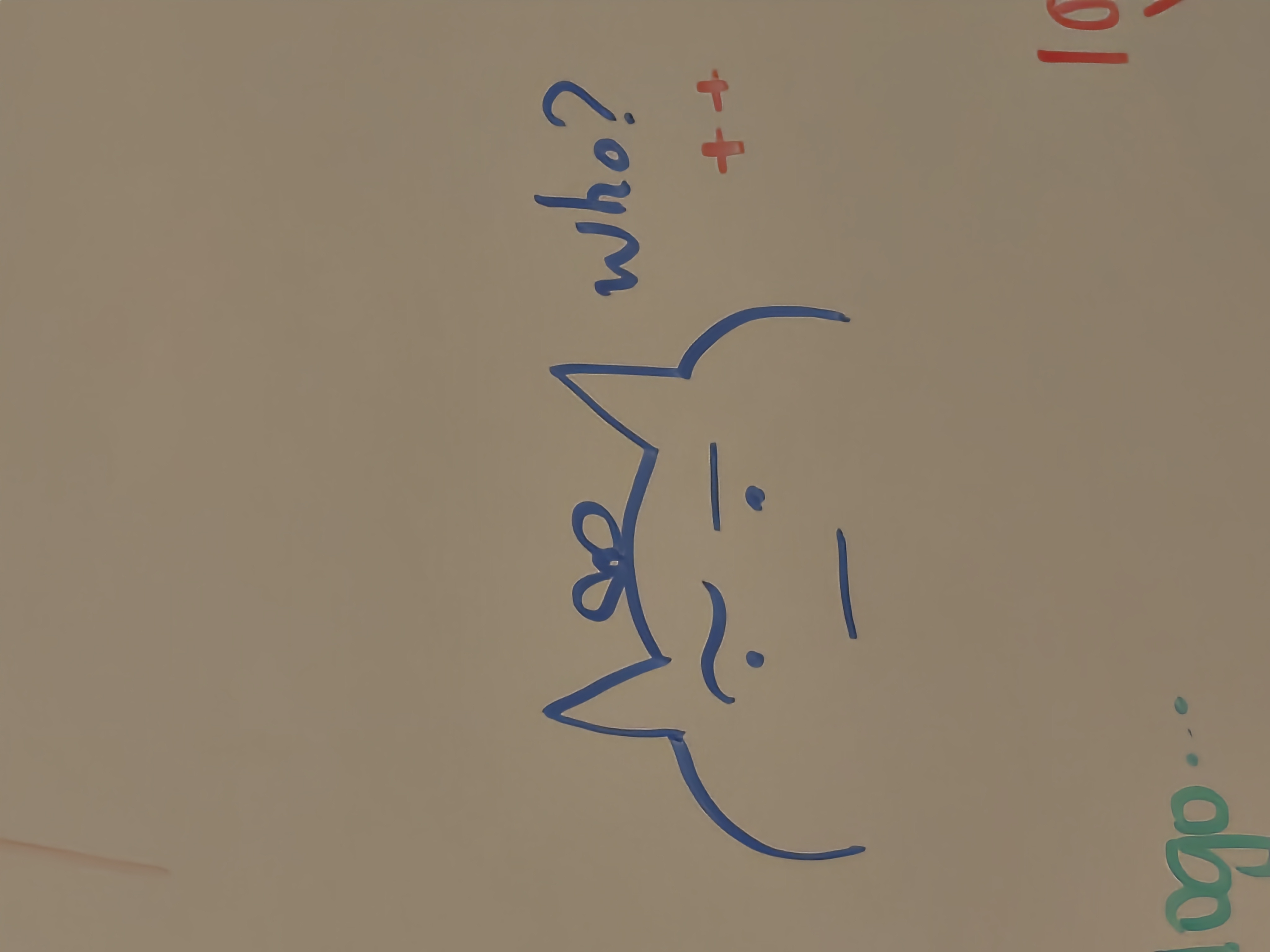 Triet's Cat